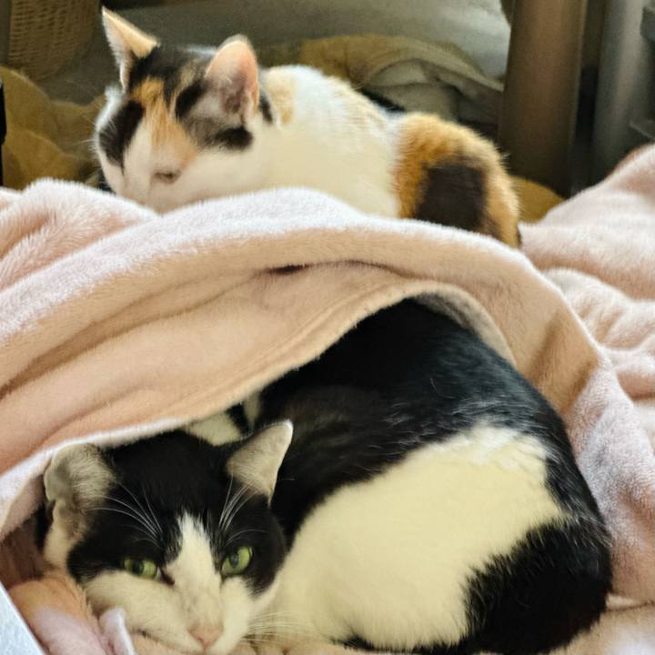 Ddb2dbc2 c259 45bf 8371 ccb41f291db4 1670378344932