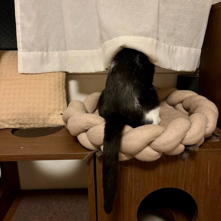 Ddb32b80 1696 4edf a730 8d1f15513555 1758562775897