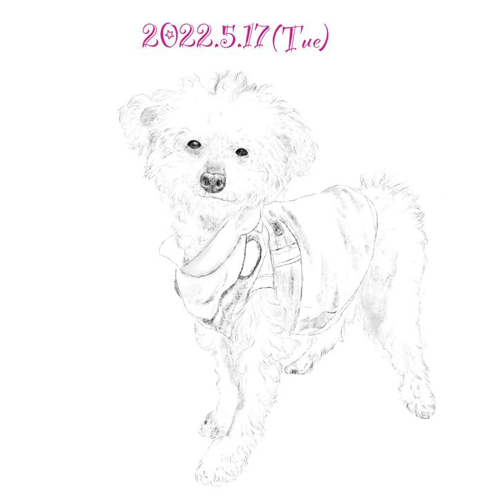 Ddb34531 b505 4116 b7d7 0e30359d174e 1652788966775