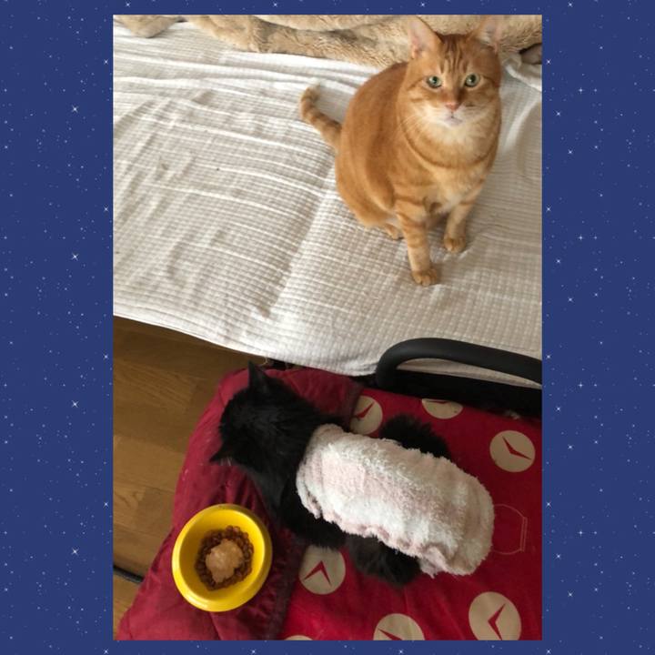 Ddb35f1c c16e 407a aeb5 f2b26ceffcac 1647041669908