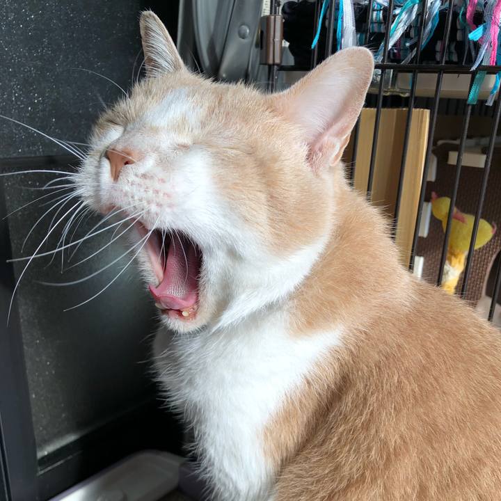 Ddb37df8 e499 457a 81e4 f18ad8abce45 1521116764664