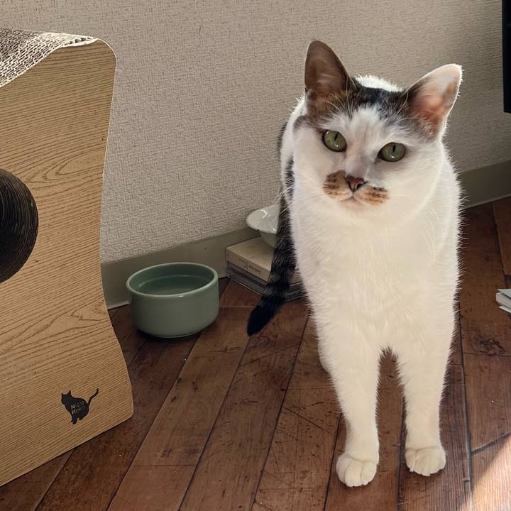 Ddb3828e eb05 4505 b869 f720e4ffc405 1641640585440