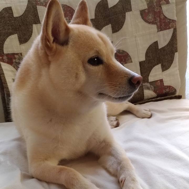 Ddb3a746 73fa 49ac 866b e231578da80d 1600126143043