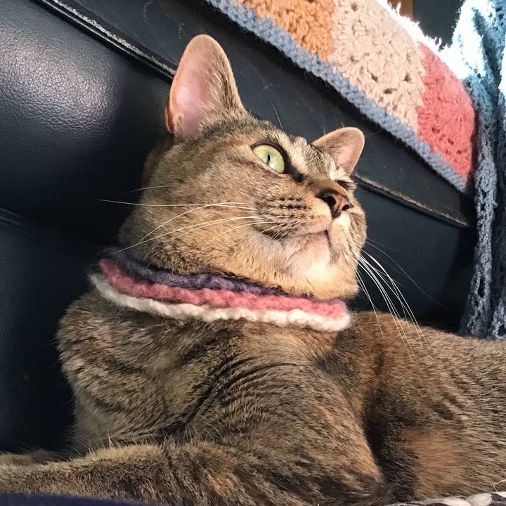 Ddb3b23e 31a6 43ac a422 81304871fbfa 1620516201112