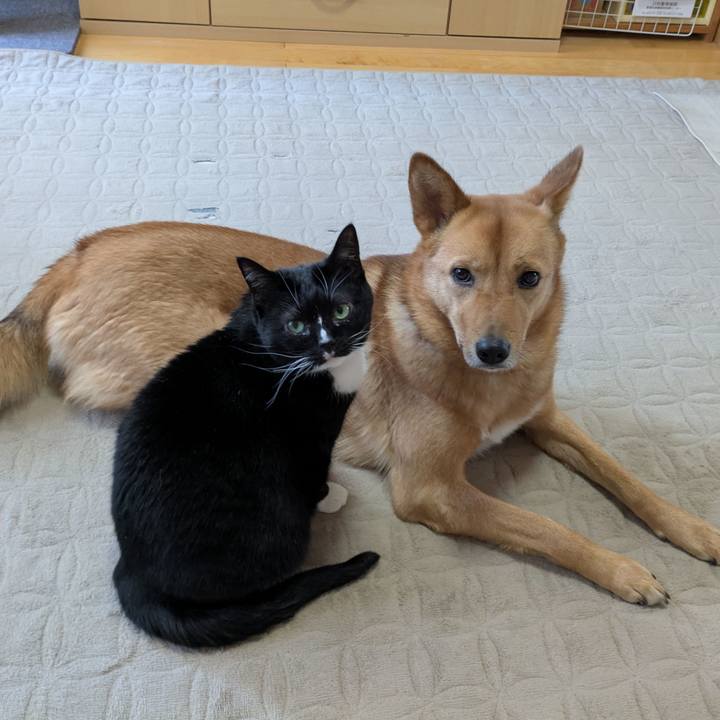 Ddb3d083 add2 442f 8387 154927990744 1771633569708