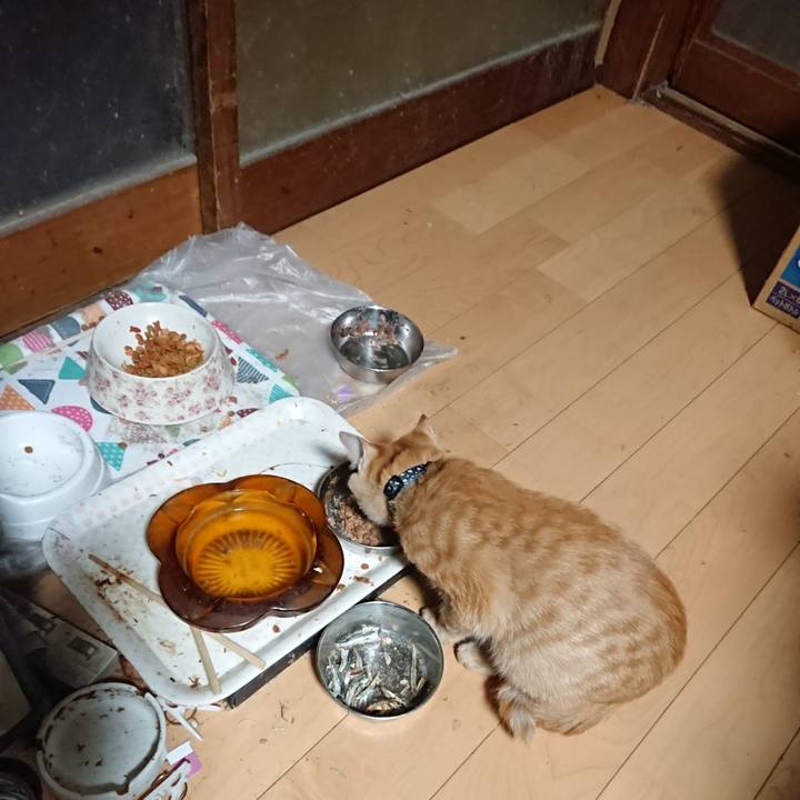 Ddb3d13c 5907 4964 aef3 63d02205b563 1634936077083