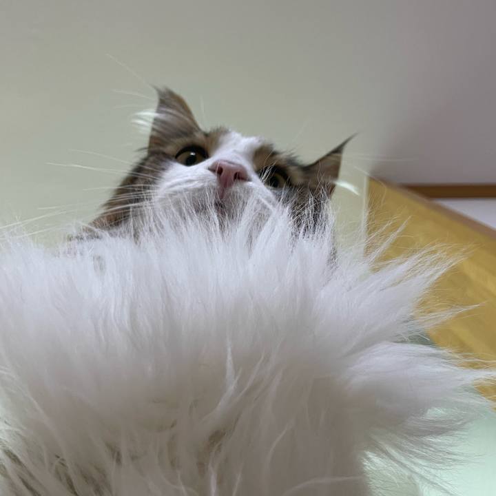 Ddb404b2 5340 44fa a3ef fcd1f078dbd5 1676797658133