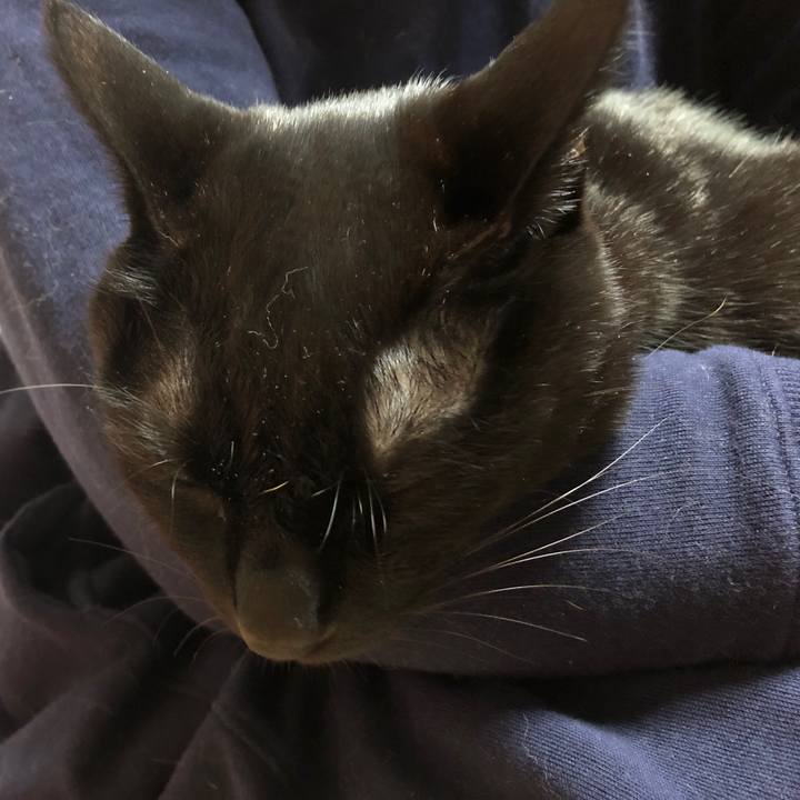 Ddb45cb4 ed34 4551 9a7c e2e38585f19a 1712055570999