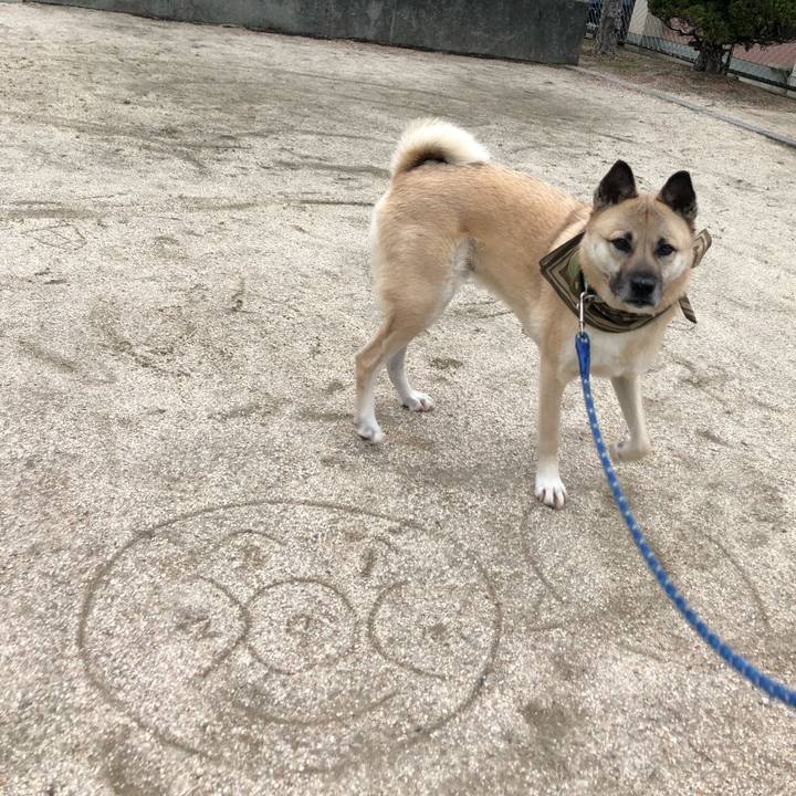 Ddb46c7f dcde 423d a1d3 aa60a35ffef1 1579937458927