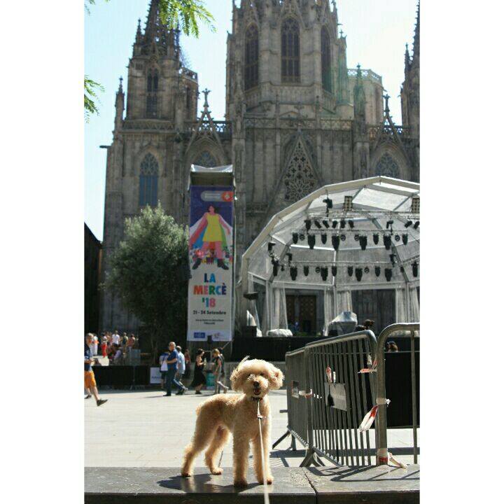 Ddb4cb28 ce2e 484a 9e4d 05730c04ac57 1537891060123