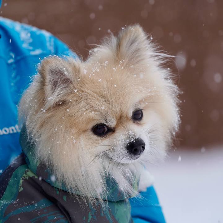 Ddb4d37a 25e4 4ab9 933b 74b145605dd2 1767256083921