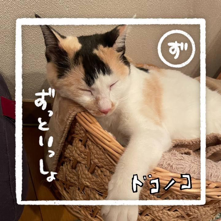 Ddb4d793 0be3 4881 8dae 7a08873423b3 1685971580701