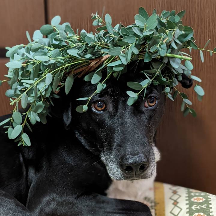 Ddb4fb1a 3496 4b1c 98a4 7c011d4ad9c9 1676718821904