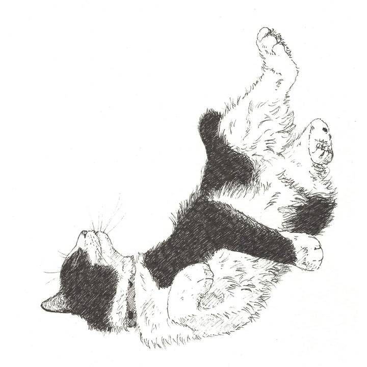 Ddb50c72 c1b0 4205 8b9c c186c7168813 1562334551096