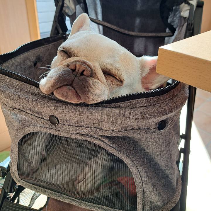 Ddb52405 82c7 4c52 918f 76bd26787061 1707289324130