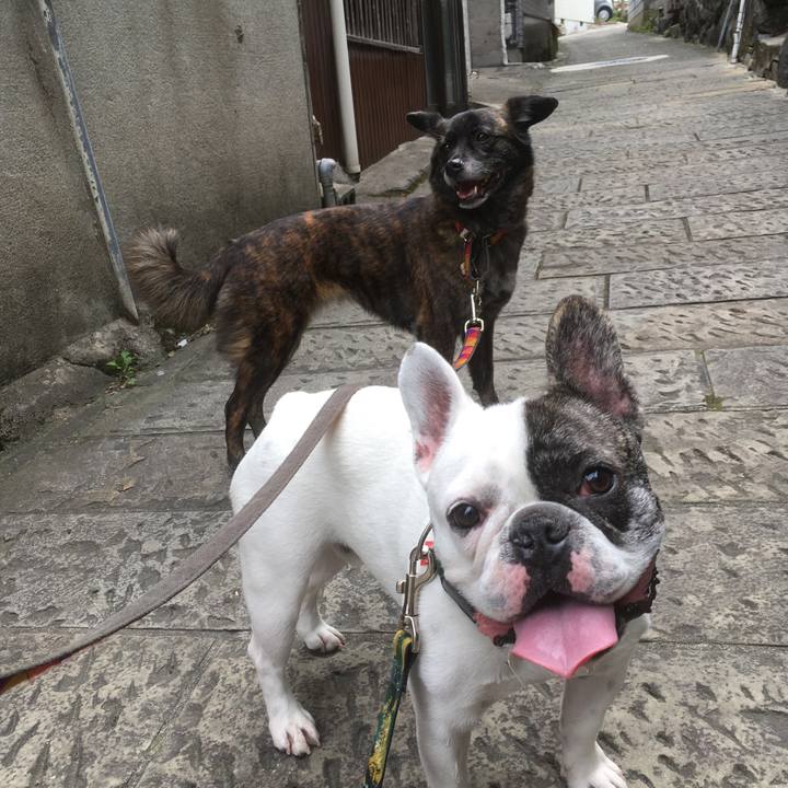 Ddb54817 967f 43ea b7e2 4ea35457fd19 1527258301914