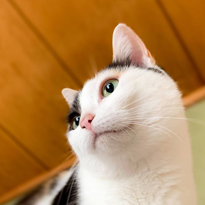 Ddb57a23 8f66 4286 b959 33204f854847 1591665195564