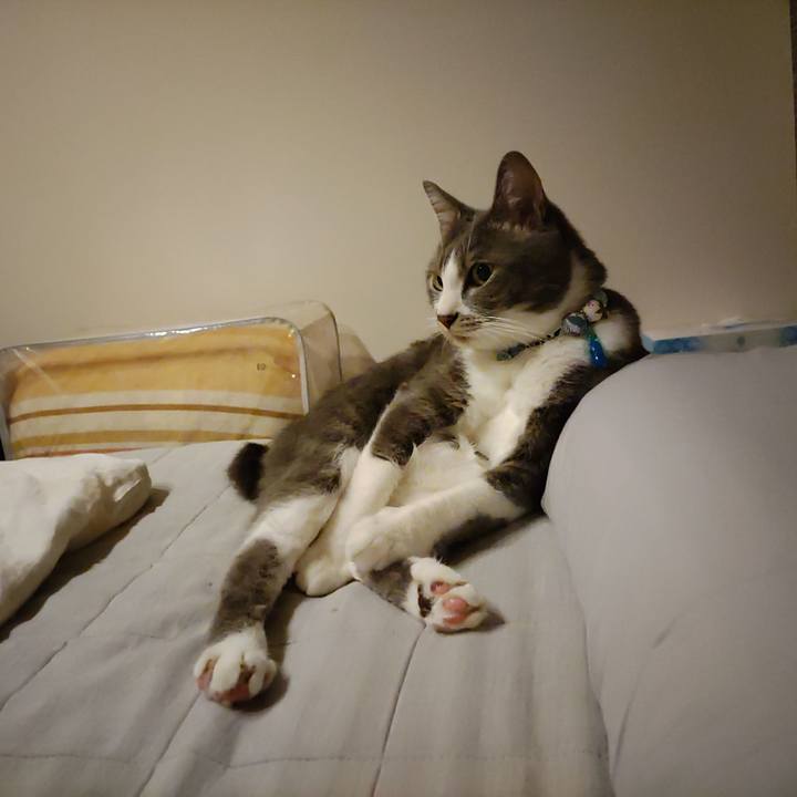 Ddb58189 735d 4551 b934 ea6e80811d35 1665274683981