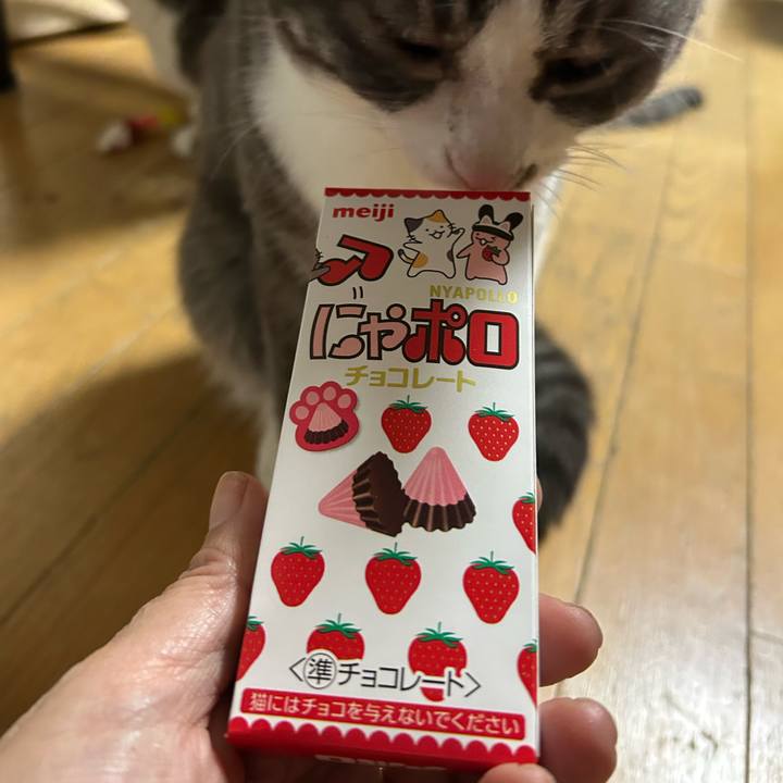 Ddb5abde 8b49 4f79 a2f6 d87c4200b651 1771459520654