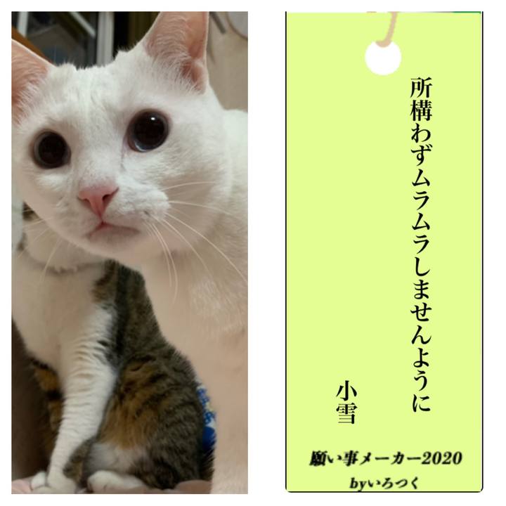 Ddb5dfdd 28c8 4435 b9c0 d07e7b3f5146 1594093144900