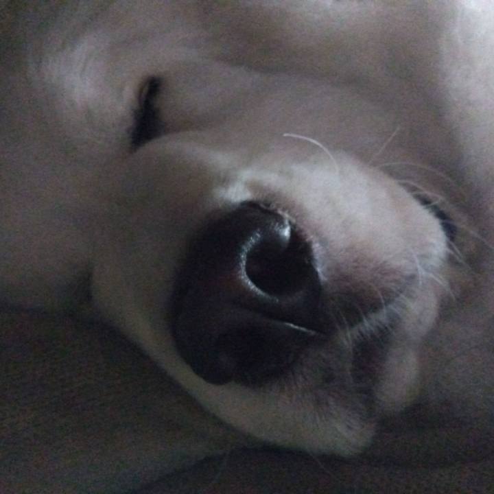 Ddb5e52f db1b 439d 849d d914918c6ae8 1679557693924