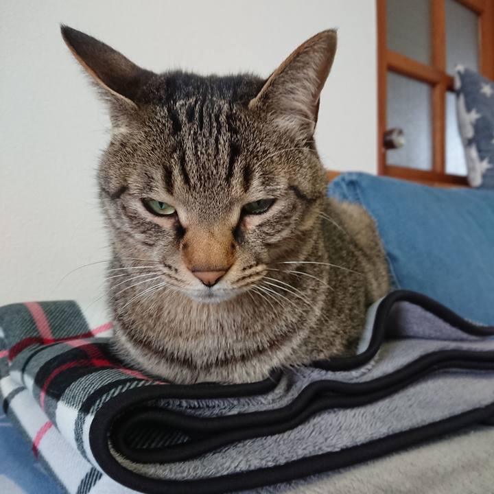 Ddb6aff4 3c05 46d6 b138 dfbd899a4eba 1583642193093