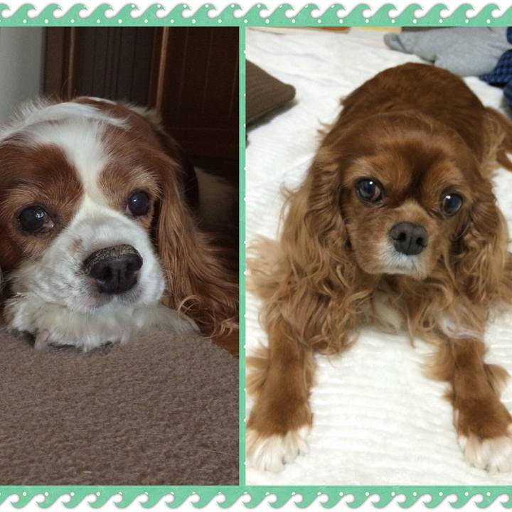 Ddb6bd9e 29a1 420c b33f 7e9b46b84f1a 1514152215607