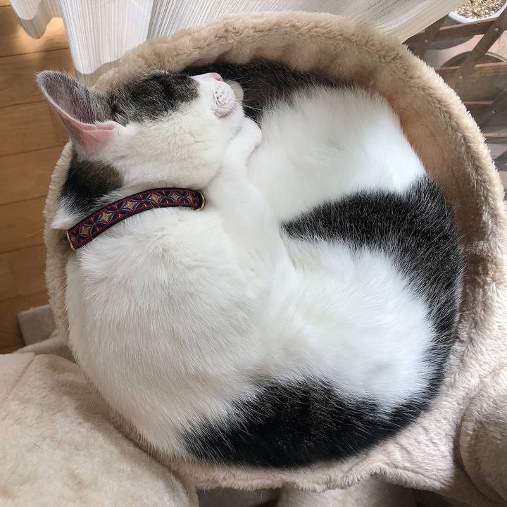 Ddb6cee9 afa9 4f49 9d04 25147897a0a9 1655344726462