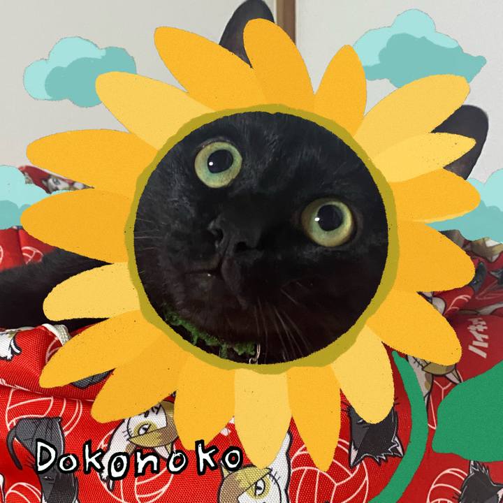 Ddb6f144 d6b2 4fd2 809e 16c7ce06d86a 1723186653417