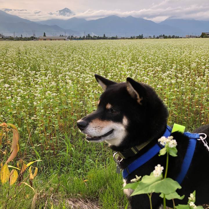 Ddb6f289 1242 4f06 b1db d1abb545158f 1631358470235