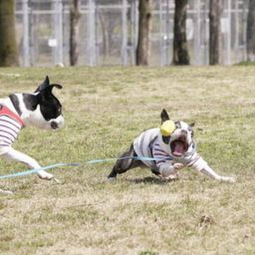 Ddb71c9b 3652 491a aeeb 7b3205f3884f 1552647721010