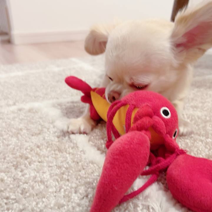 Ddb72877 d0ff 4e93 a2b1 dff0466b44f2 1687354689618