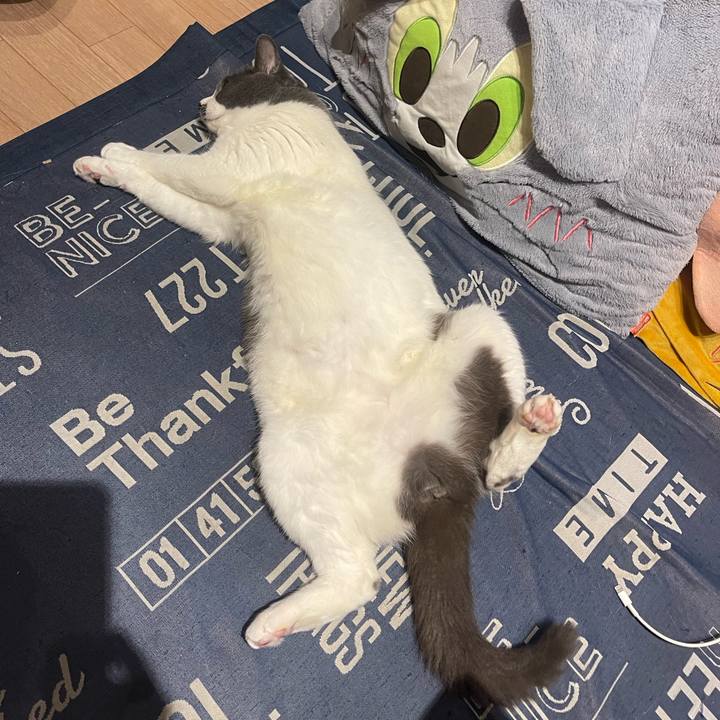 Ddb7644a e871 4cac a220 9e6b80298b6c 1748613686522