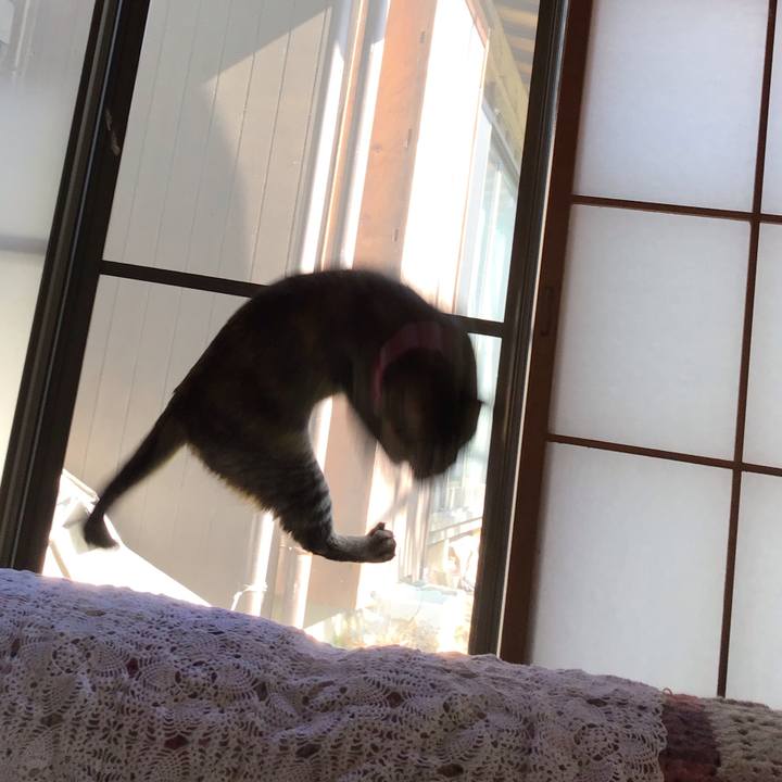 Ddb76ae3 06a1 493a a4c1 0620ba8056d1 1605239331978