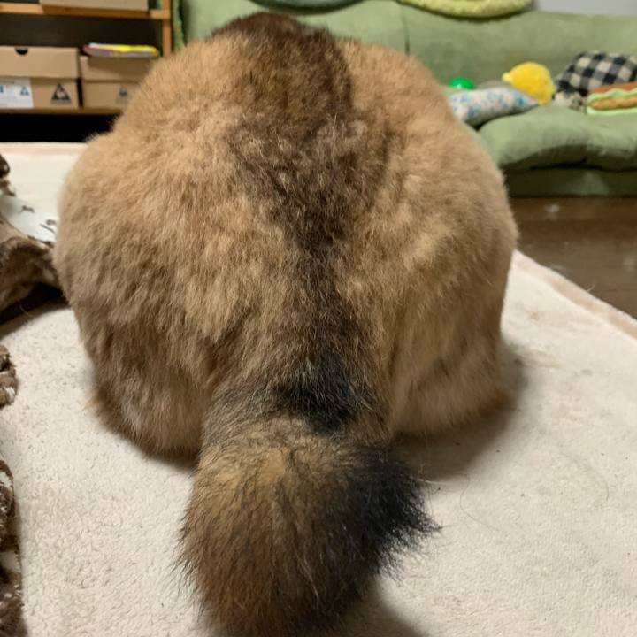 Ddb78c98 1e7d 4735 ac74 9d32ed36726c 1578662868549