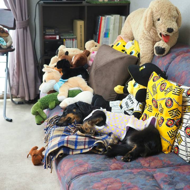 Ddb7b1bc 7112 4488 adef 852dd24aff16 1567044465146