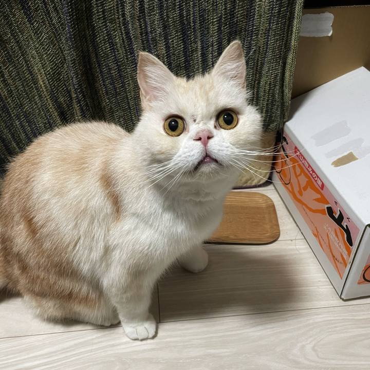 Ddb7d04b dd83 4ed6 8e21 258a999770e7 1764952296566