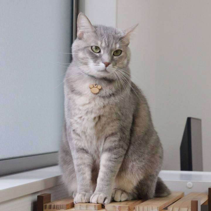 Ddb7d821 7c1a 41c8 9e8c bcadde6e65b6 1579577224019