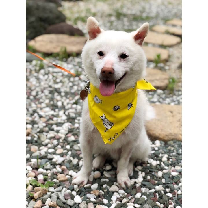 Ddb7f7ec ed87 4204 a381 fc837b738e34 1528197463894