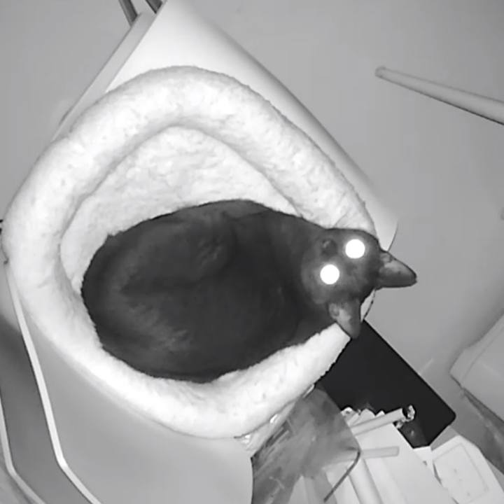 Ddb817bd c2aa 49bd 871f 65b641d0712f 1552397054691