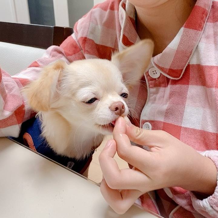 Ddb84a13 6d1a 4265 9f6d e151832f6072 1603149617825