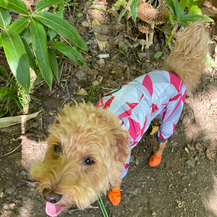 Ddb84cc1 fc86 4d34 a0b0 271b52b0f402 1630805025105