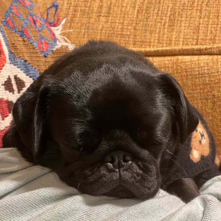 Ddb86756 9cc4 4dbf 9554 93f2addf57e4 1642422727877