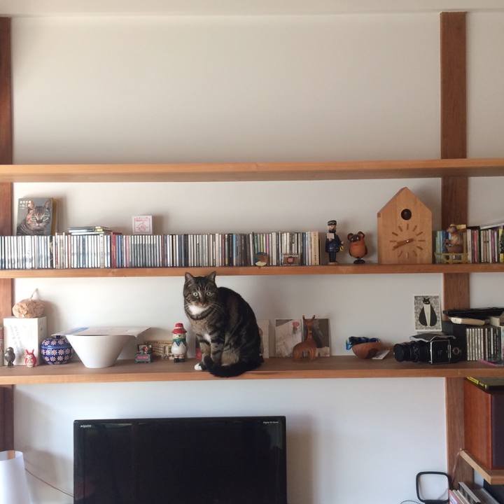 Ddb897c0 3931 4de5 be69 4fa3860f61cb 1520034099239