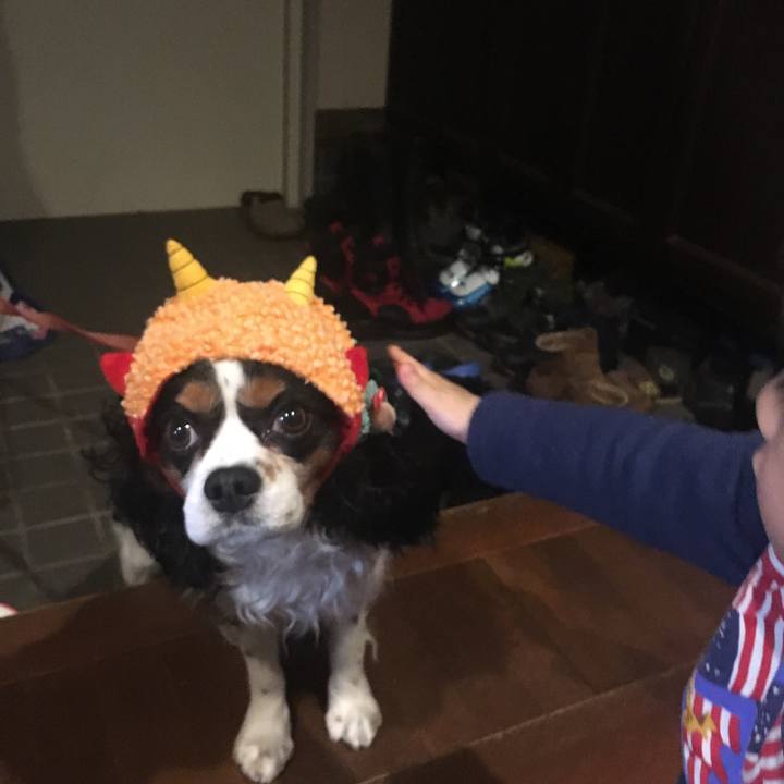 Ddb8c8a6 c7f4 4ec4 8ec7 7ef3d227dd2b 1517646399293