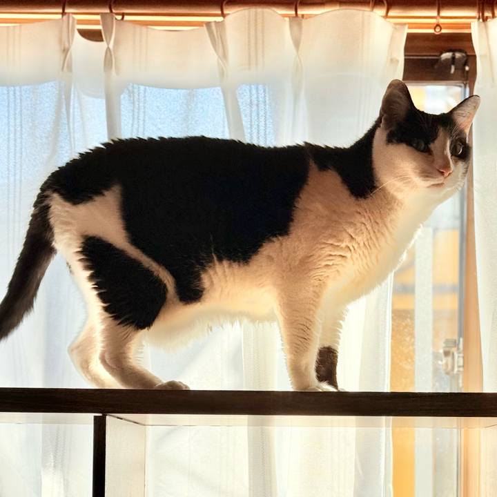 Ddb8fd49 6660 4c68 9a56 8e801052a66f 1737599758268