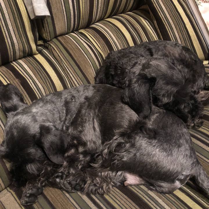 Ddb91028 36f3 4bc2 a296 564d2a81d8af 1520164188342