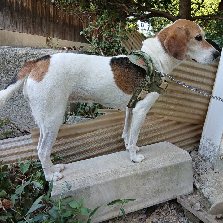 Ddb92449 8891 4161 b95e b89d567fe02c 1753777788223