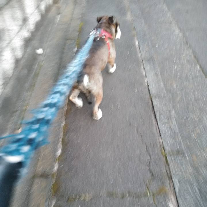 Ddb92d25 cd60 48a5 9be4 cf23d0e2f23e 1546787180751