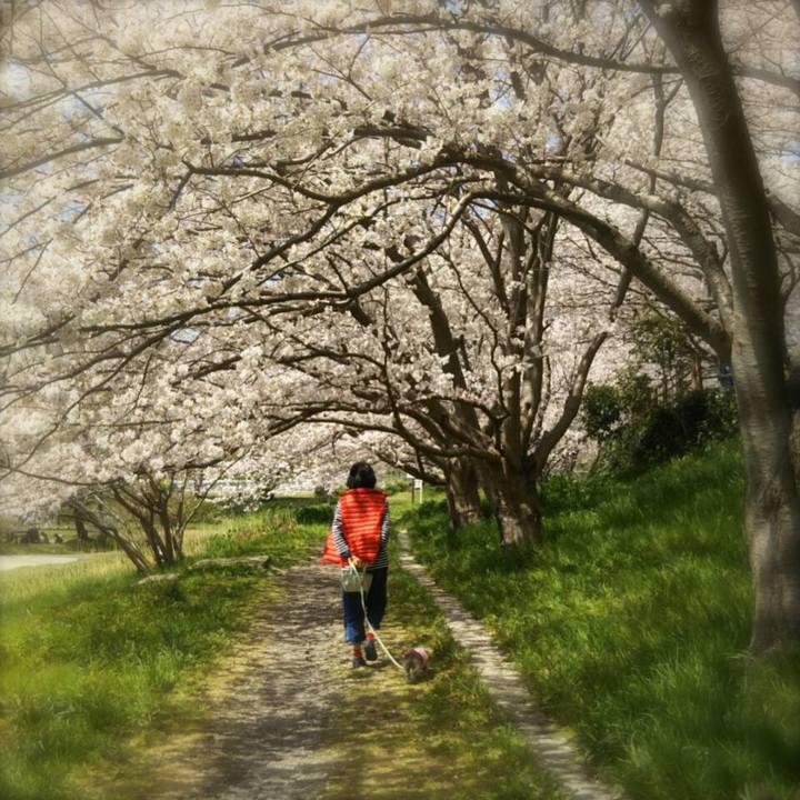 Ddb93dfb 5633 46f6 be6d f89dcc219c13 1522417577001